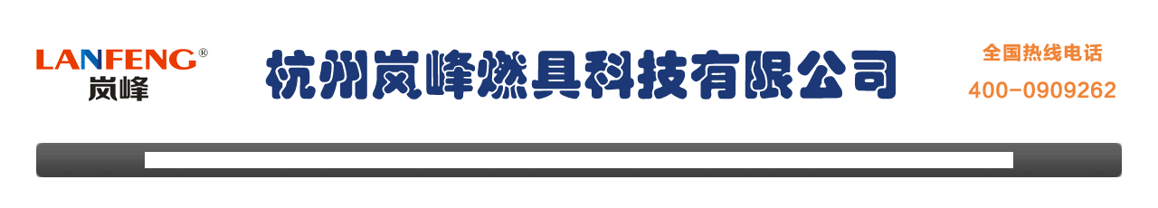 杭州岚峰燃具科技有限公司